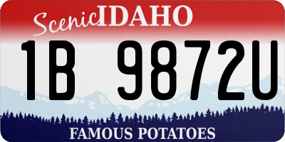 ID license plate 1B9872U