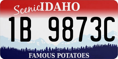 ID license plate 1B9873C