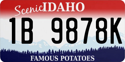 ID license plate 1B9878K