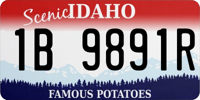 ID license plate 1B9891R