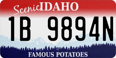 ID license plate 1B9894N