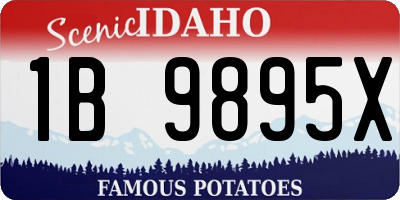 ID license plate 1B9895X