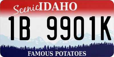 ID license plate 1B9901K