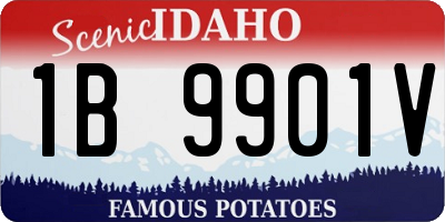 ID license plate 1B9901V