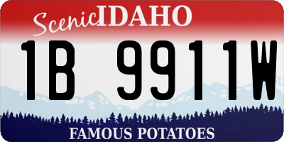 ID license plate 1B9911W