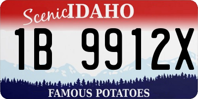 ID license plate 1B9912X