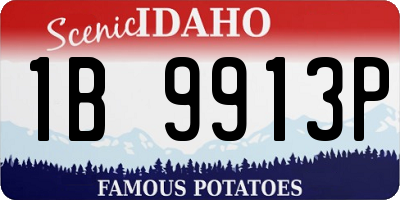 ID license plate 1B9913P