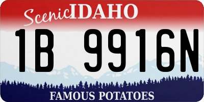 ID license plate 1B9916N