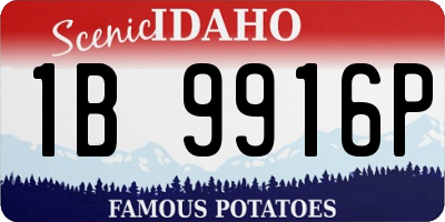 ID license plate 1B9916P