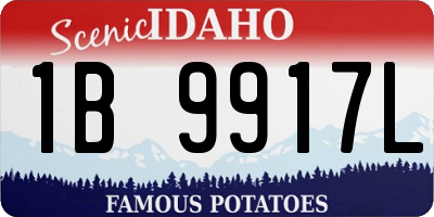 ID license plate 1B9917L