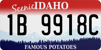 ID license plate 1B9918C