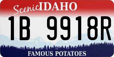 ID license plate 1B9918R