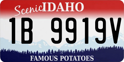ID license plate 1B9919V