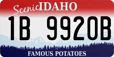 ID license plate 1B9920B