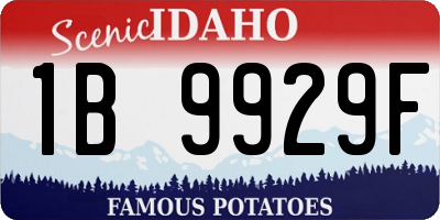 ID license plate 1B9929F