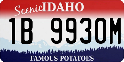 ID license plate 1B9930M