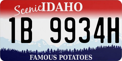 ID license plate 1B9934H