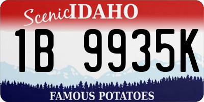 ID license plate 1B9935K