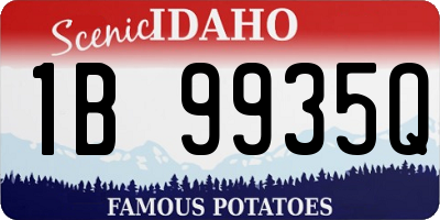 ID license plate 1B9935Q