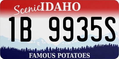 ID license plate 1B9935S