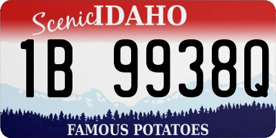 ID license plate 1B9938Q