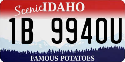 ID license plate 1B9940U