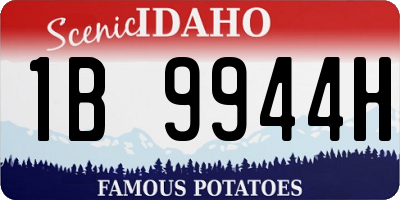 ID license plate 1B9944H