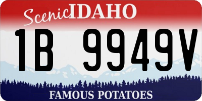 ID license plate 1B9949V