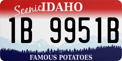 ID license plate 1B9951B