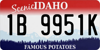 ID license plate 1B9951K