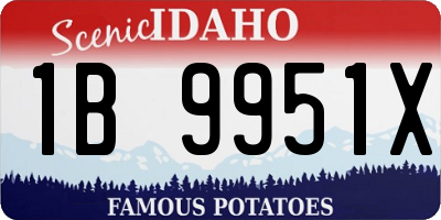 ID license plate 1B9951X
