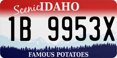 ID license plate 1B9953X
