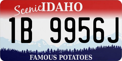 ID license plate 1B9956J