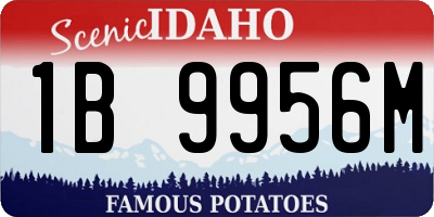 ID license plate 1B9956M