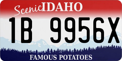 ID license plate 1B9956X