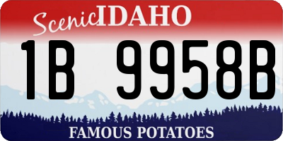 ID license plate 1B9958B