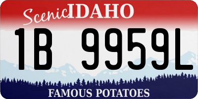 ID license plate 1B9959L