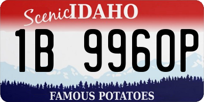 ID license plate 1B9960P