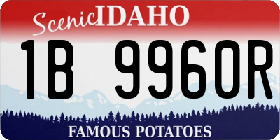 ID license plate 1B9960R