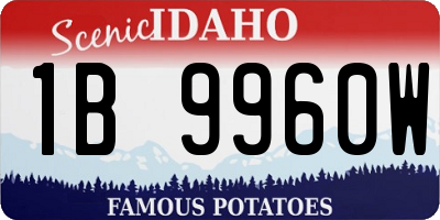 ID license plate 1B9960W