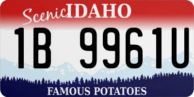 ID license plate 1B9961U