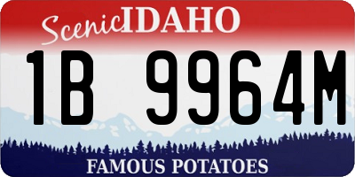 ID license plate 1B9964M