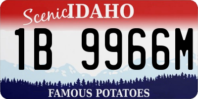 ID license plate 1B9966M