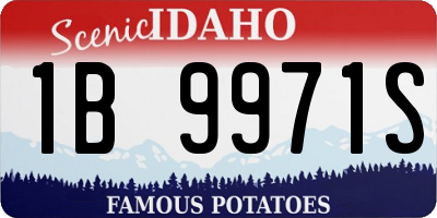 ID license plate 1B9971S