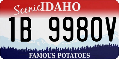 ID license plate 1B9980V
