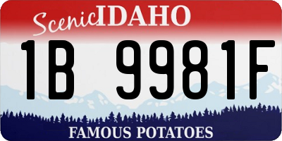 ID license plate 1B9981F