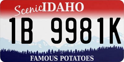 ID license plate 1B9981K