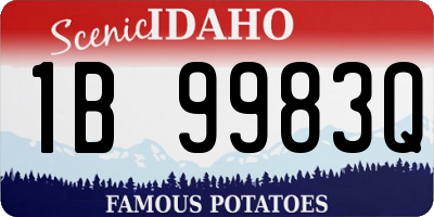 ID license plate 1B9983Q