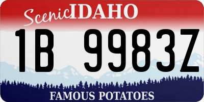 ID license plate 1B9983Z