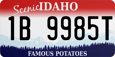 ID license plate 1B9985T